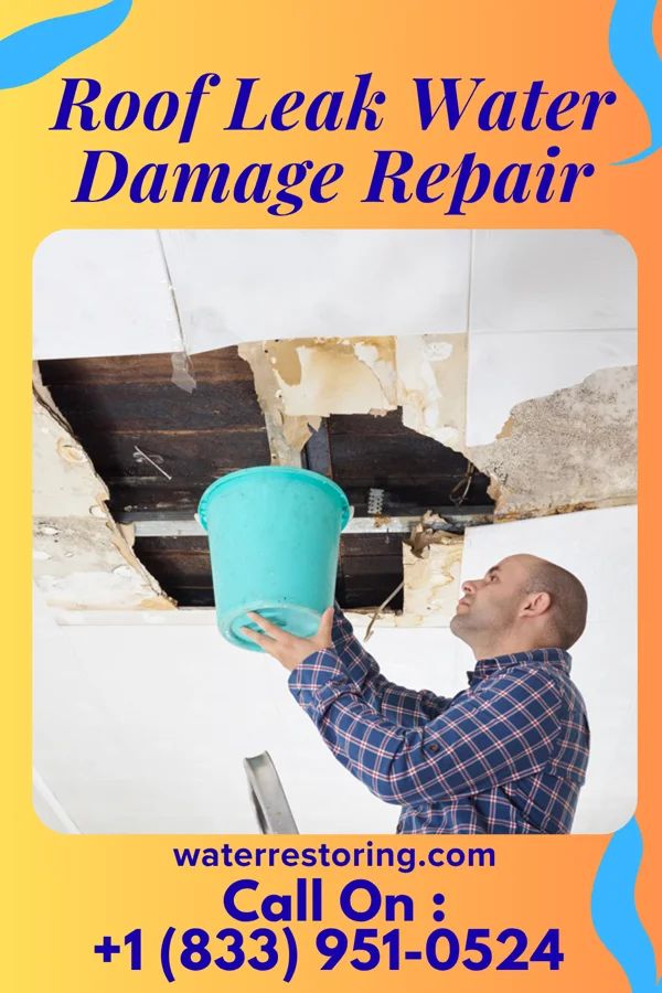 Roof Leak Water Damage Repair in Chaires, FL